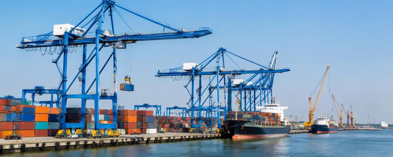 Port cranes handling cargo